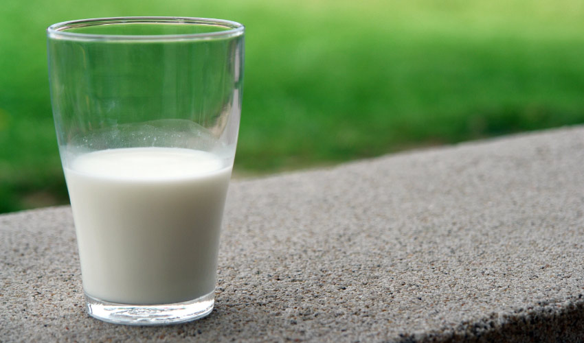Clear glass of white cow's milk that can keep a knocked-out tooth moist on a concrete curb next to green grass